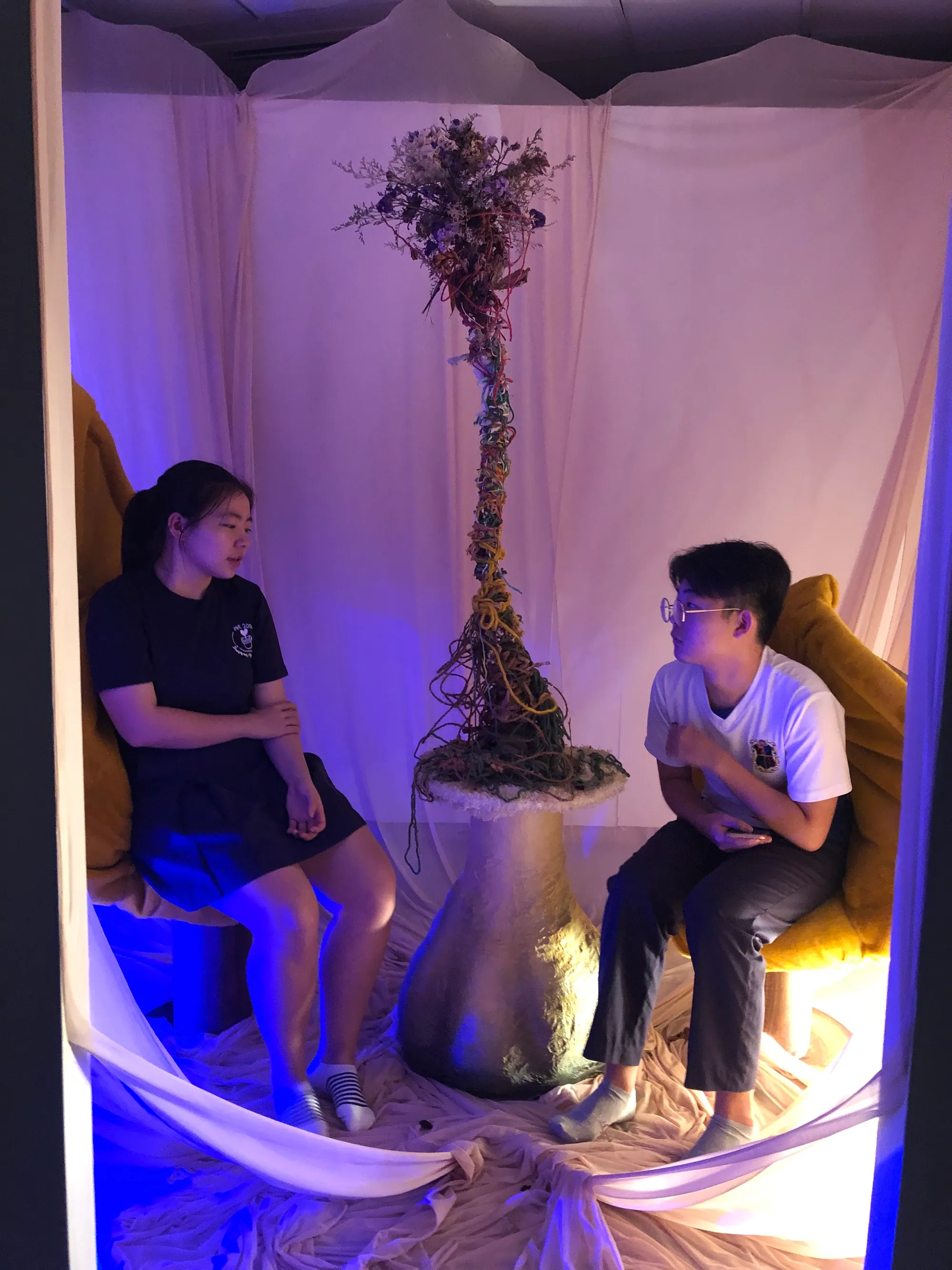 Art installation transforming a room into the inside of a flower