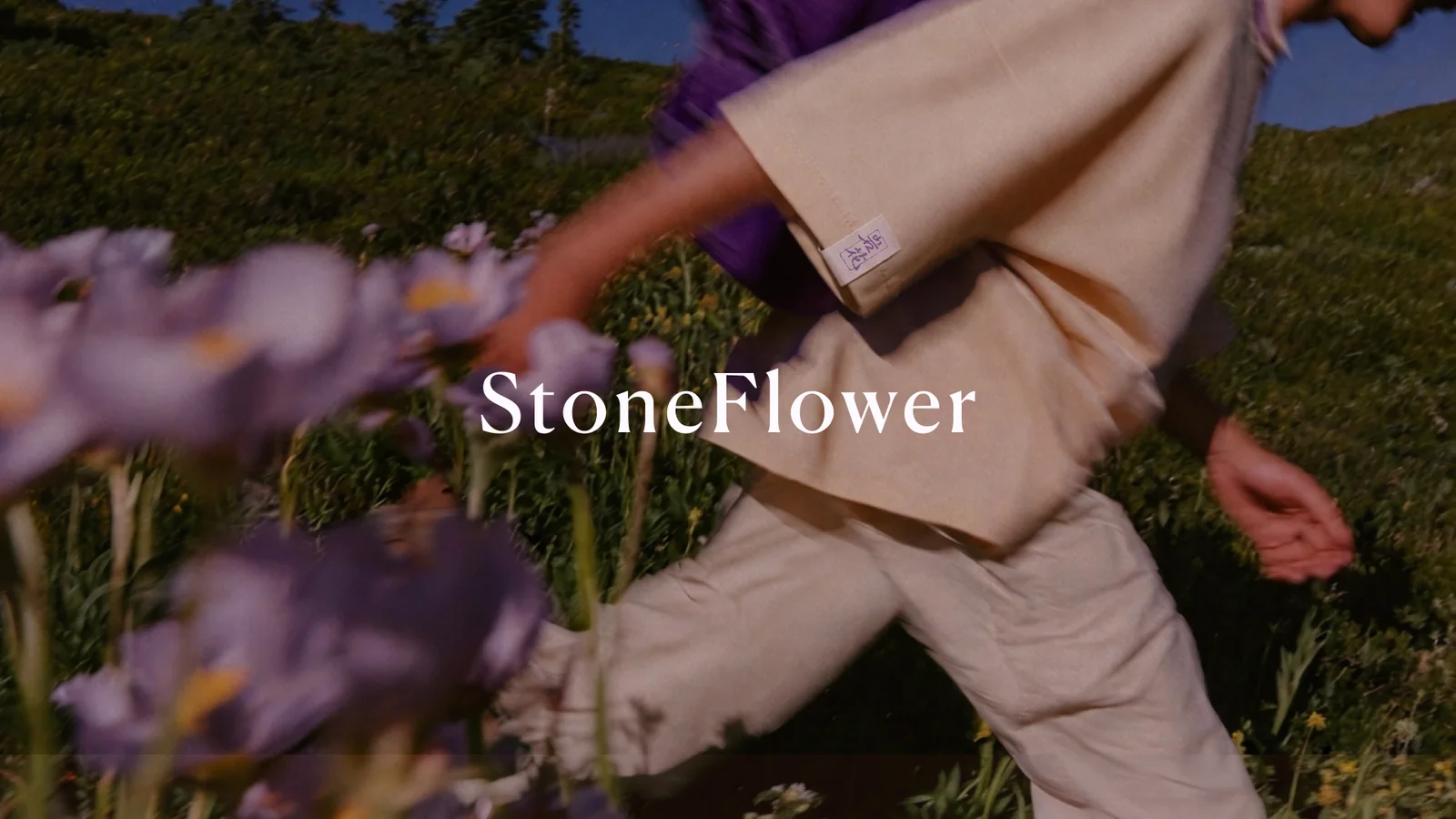 StoneFlower campaign cover — a figure running through an alpine meadow