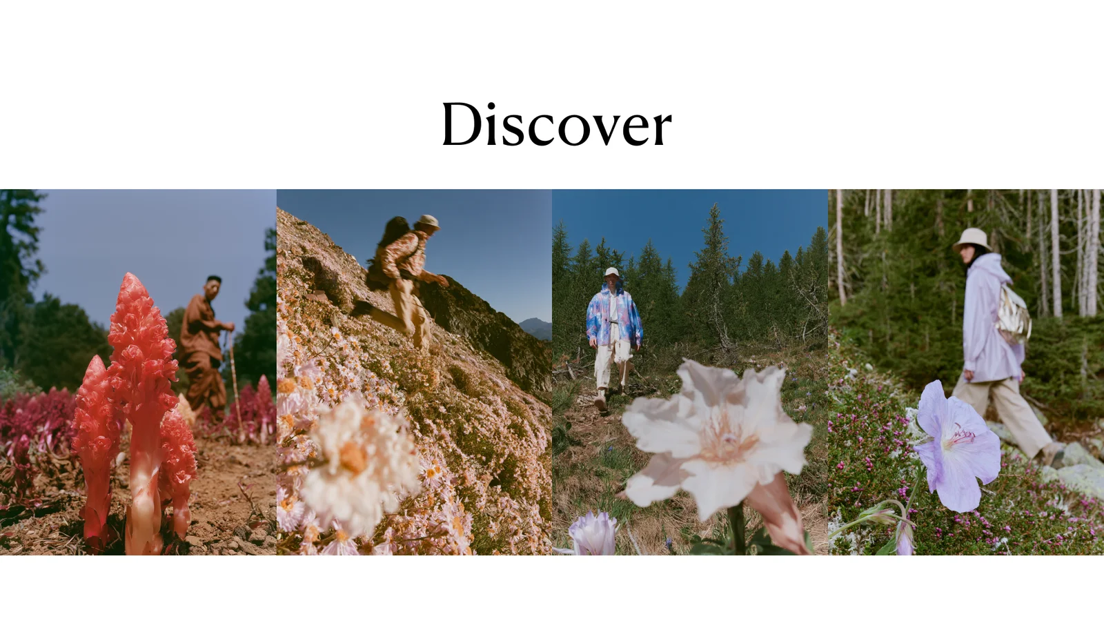 Editorial imagery — Discover